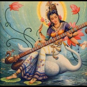 Meet the Posher ~ lexpicci